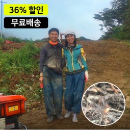 한잎새 지리산 우량 먹 고사리종근 100kg